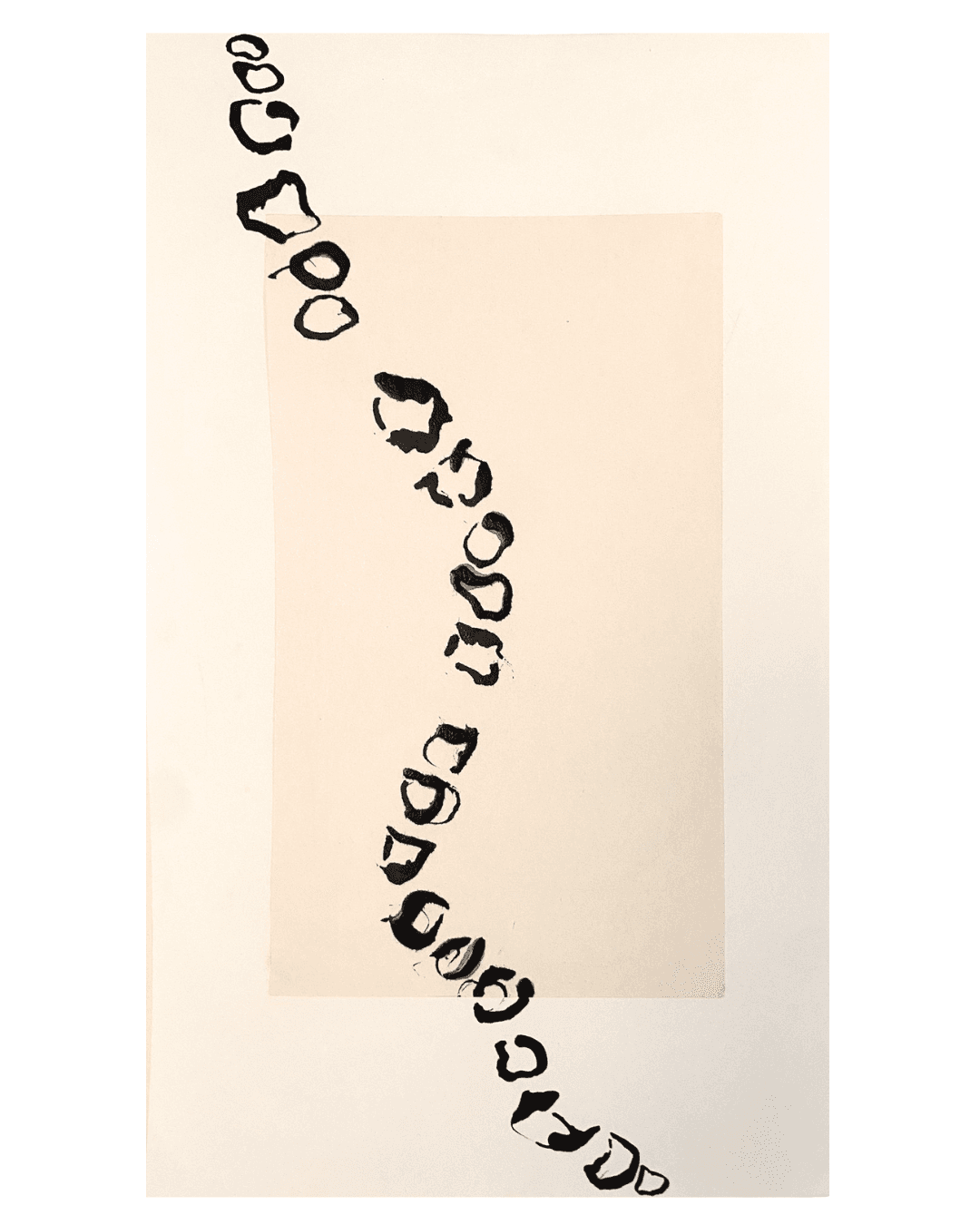spine