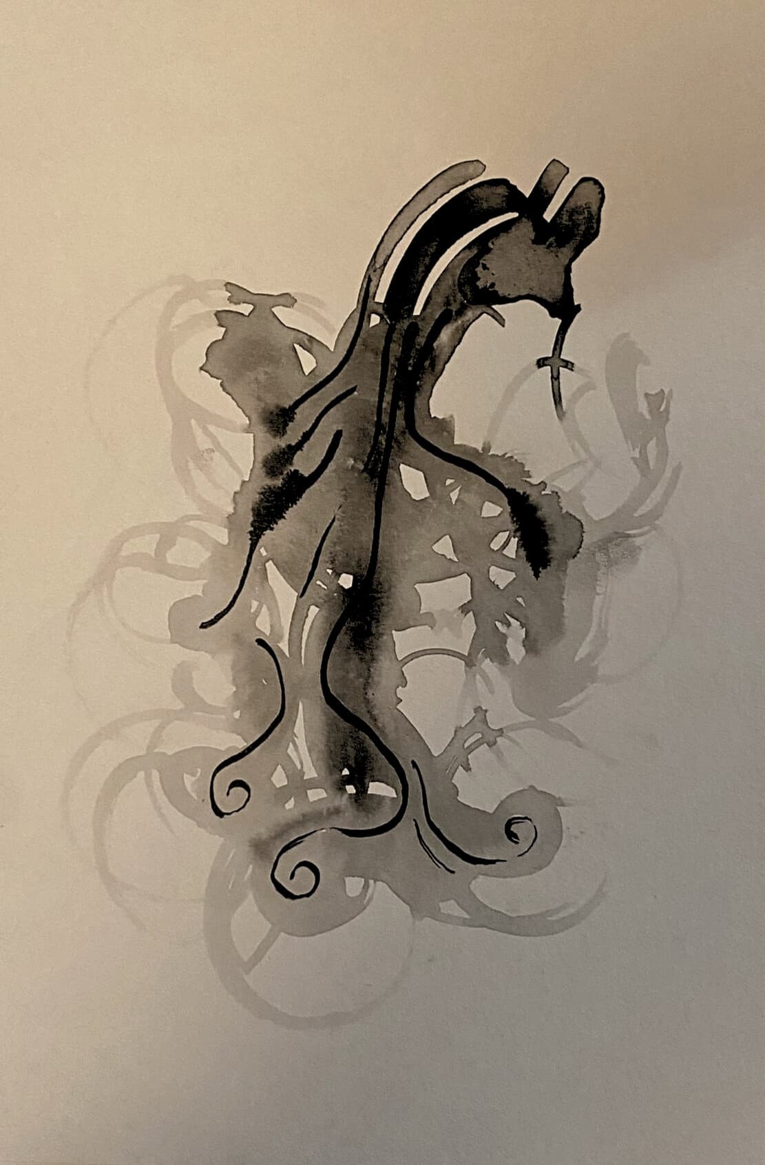 untitled motion