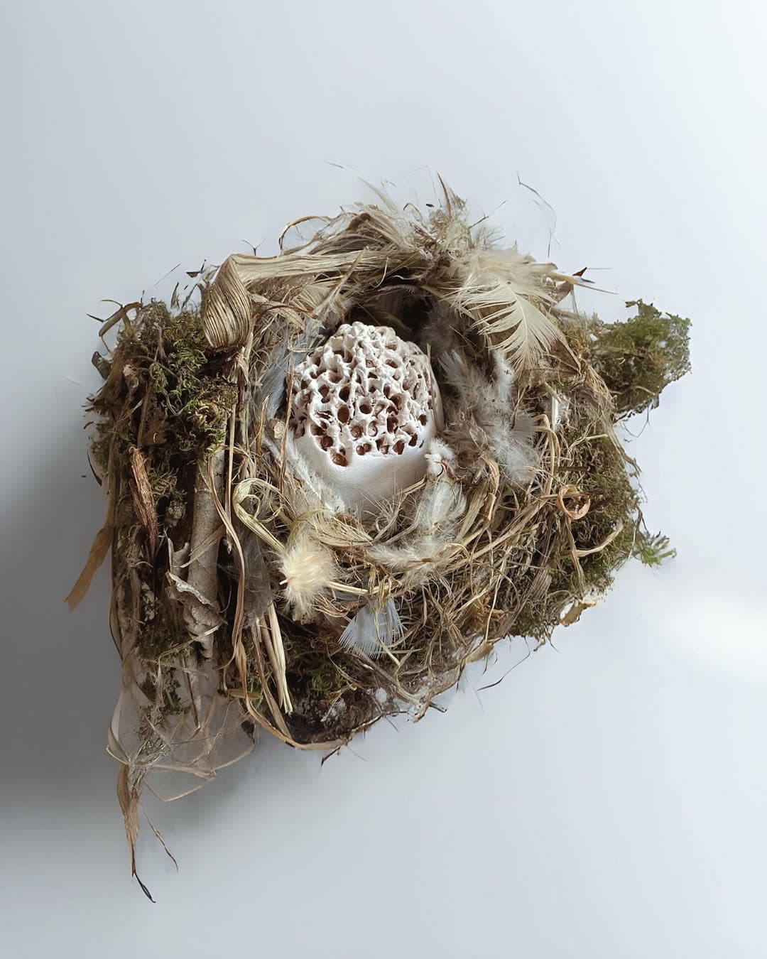 installation « nid »